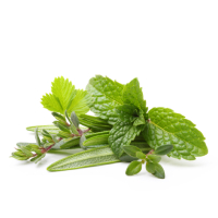 Herbs category image