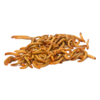 Food & Care category image