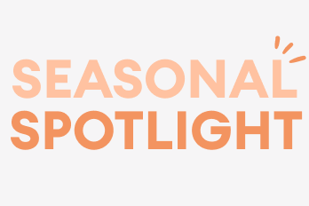 Seasonal spotlight graphic