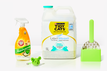 Cat litter essentials