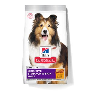 dog food