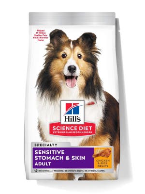 dog food
