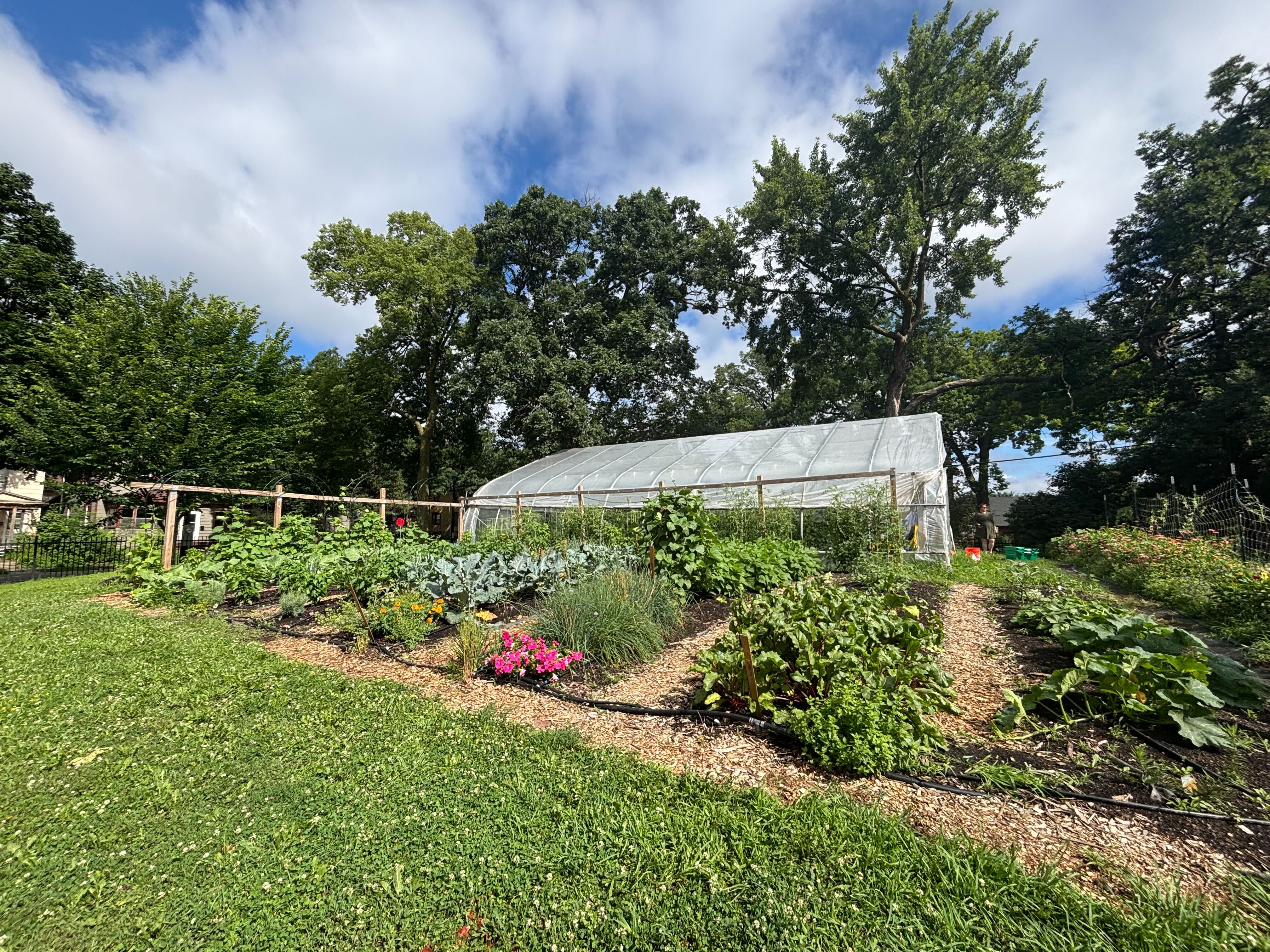 Expanding Food Access in Minneapolis