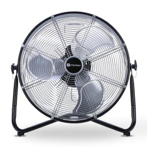fan