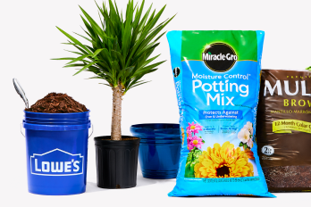 Plants in pots, Lowe's bucket with mulch, Miracle Grow Potting Mix and Brown Mulch