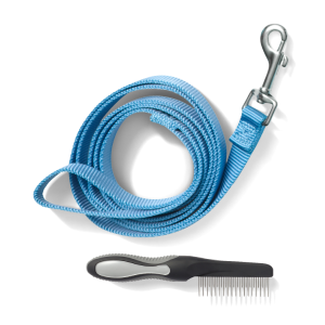 dog leash and brush
