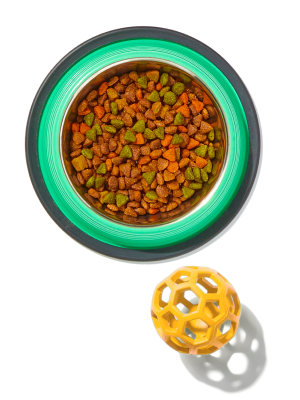 pet food