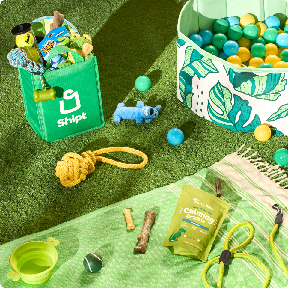pet supplies same day delivery