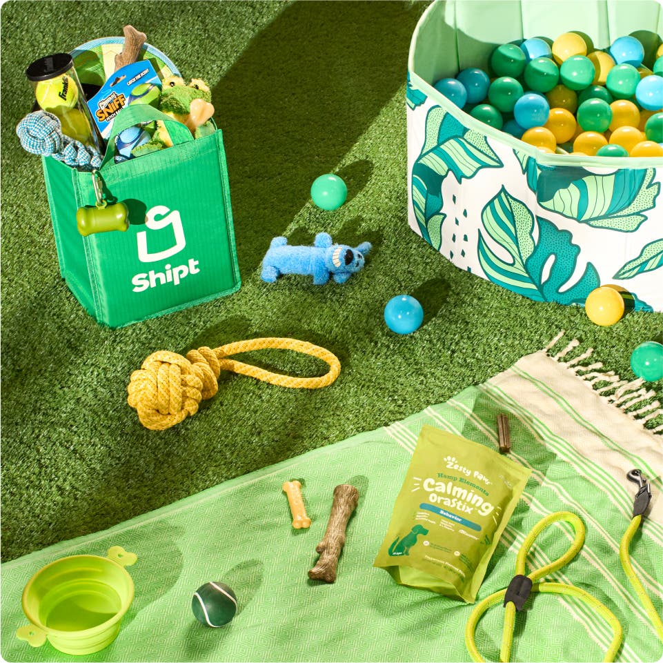A bag of Shipt groceries filled with pet supplies on a grass lawn, surrounded by pet toys
