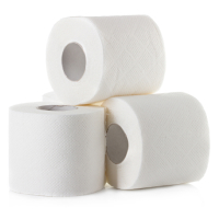 Toilet Paper category image