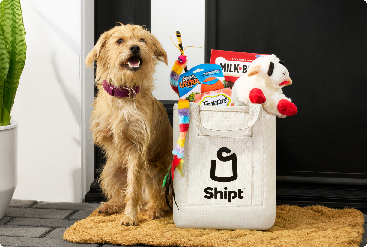 Pug wearing a Shipt shirt next to a Shipt grocery bag full of dog treats