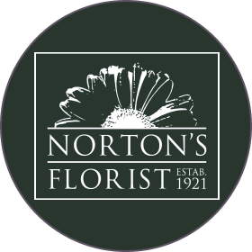 Get same-day delivery from Norton's Florist with Shipt