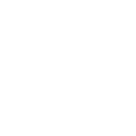 Central Market
