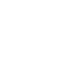 DSW