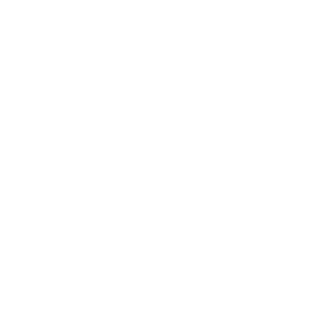Fry's Food