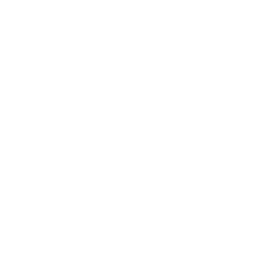 Lowe's