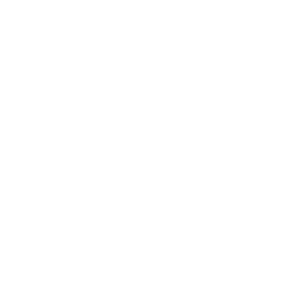 Pick 'n Save