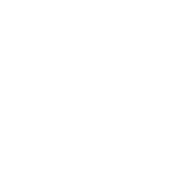 Ruler Foods