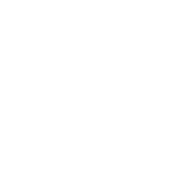 Winn-Dixie